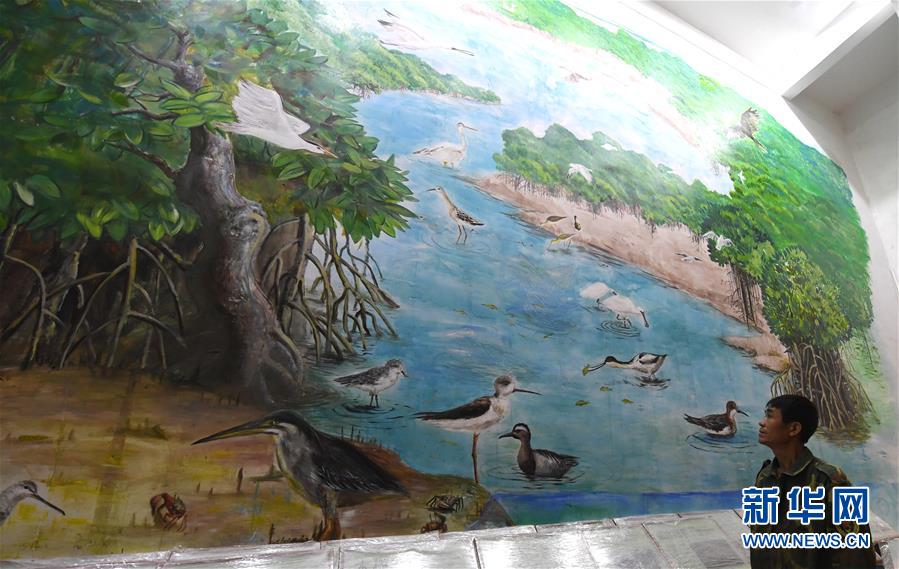 （圖文互動(dòng)）（5）十年樹木、紅樹成林&mdash;&mdash;&ldquo;海上森林&rdquo;回歸記