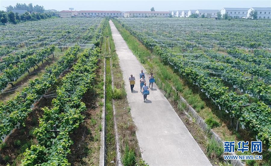 （新華全媒頭條&middot;紀(jì)念改革開放40年特稿&middot;圖文互動(dòng)）（5）向著新航程揚(yáng)帆奮進(jìn)！&mdash;&mdash;從小崗精神看中國改革開放40年