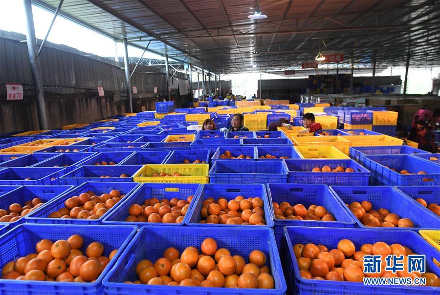 （新華全媒頭條&middot;習近平新時代中國特色社會主義思想在基層&middot;改革發(fā)展新氣象&middot;圖文互動）（5）改革創(chuàng)新潮涌動 激活發(fā)展新引擎