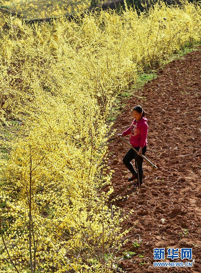 （新華全媒頭條&middot;習近平新時代中國特色社會主義思想在基層&middot;改革發(fā)展新氣象&middot;圖文互動）（6）改革創(chuàng)新潮涌動 激活發(fā)展新引擎