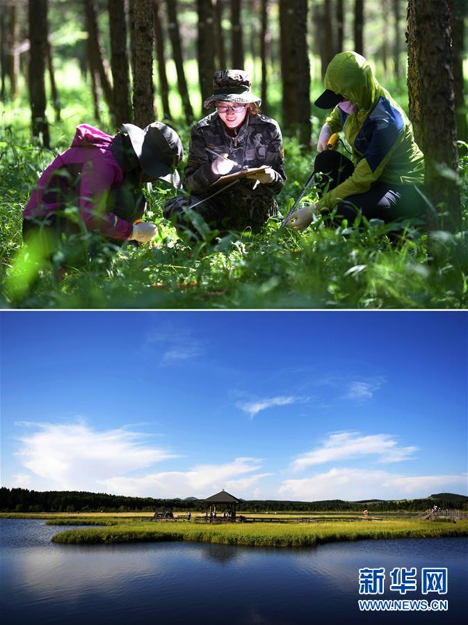 （新華全媒頭條&middot;圖文互動）（4）領航新時代中國經濟航船&mdash;&mdash;從中央財經領導小組會議看以習近平同志為核心的黨中央駕馭中國經濟
