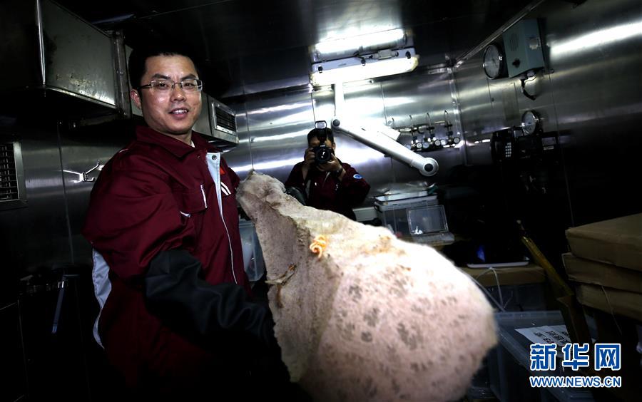 （圖文互動）（6）&ldquo;科學&rdquo;號在麥哲倫海山展開綜合調(diào)查