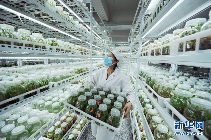 (新華全媒頭條·兩會(huì)精神看落實(shí)·圖文互動(dòng))(1)適應(yīng)發(fā)展新方位 奮進(jìn)決勝長(zhǎng)征路