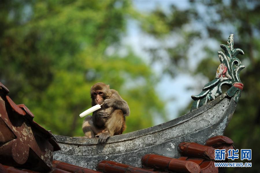 （鏡觀中國&middot;新華網(wǎng)）（5）新華社國內(nèi)照片一周精選