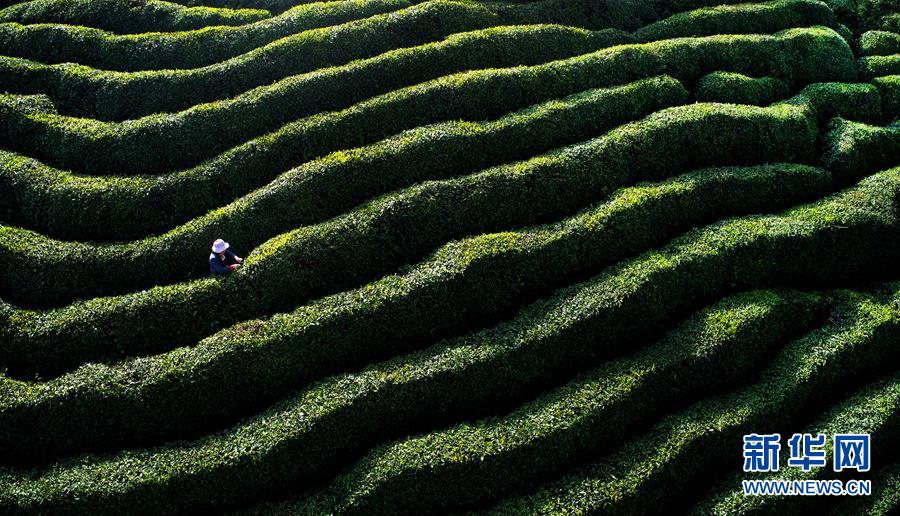 （鏡觀中國(guó)&middot;新華網(wǎng)）（10）新華社國(guó)內(nèi)照片一周精選