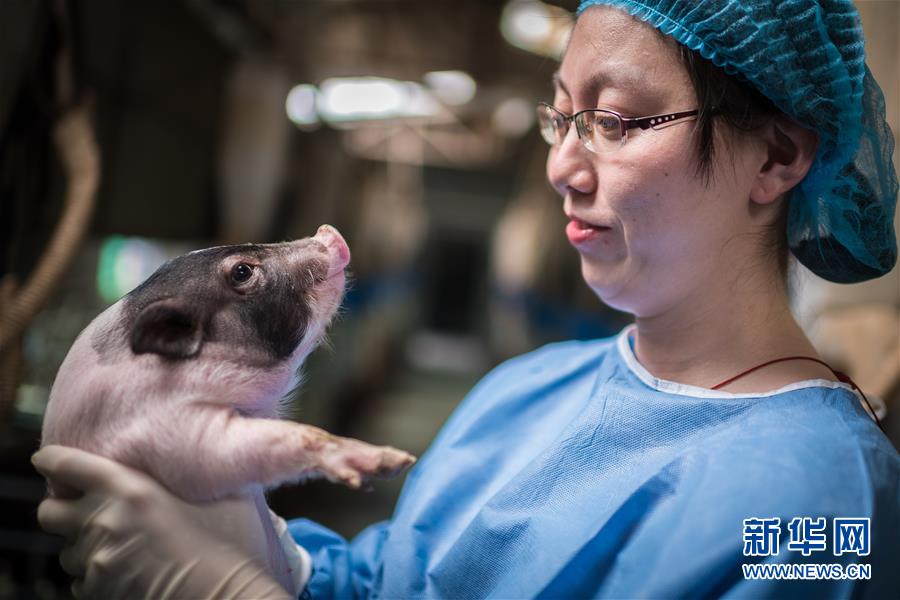 (鏡觀中國·新華網)(13)新華社國內照片一周精選