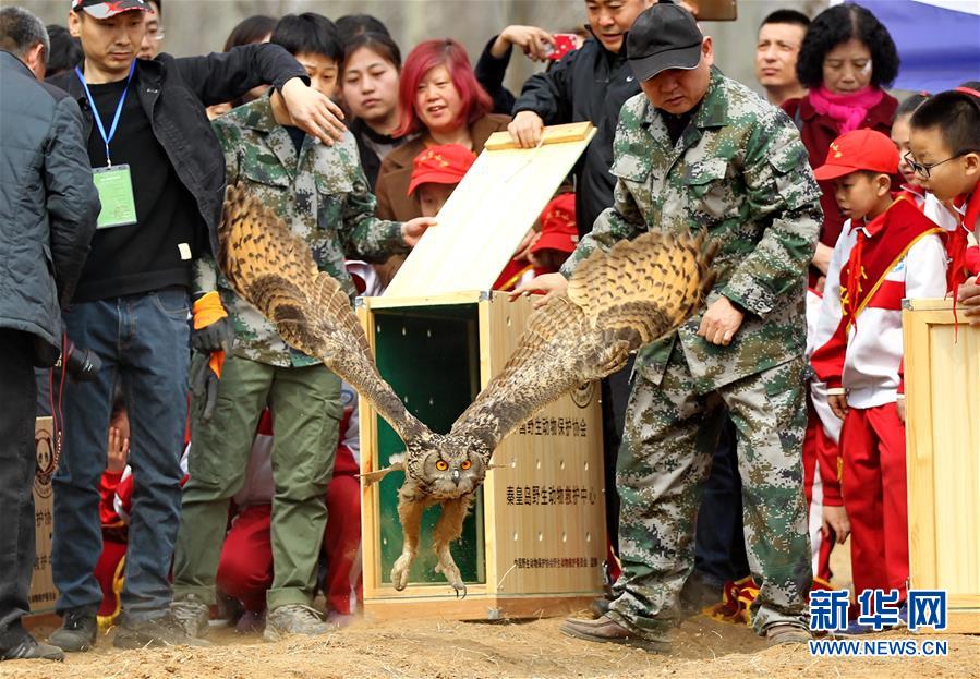 (鏡觀中國(guó)·新華網(wǎng))(14)新華社國(guó)內(nèi)照片一周精選