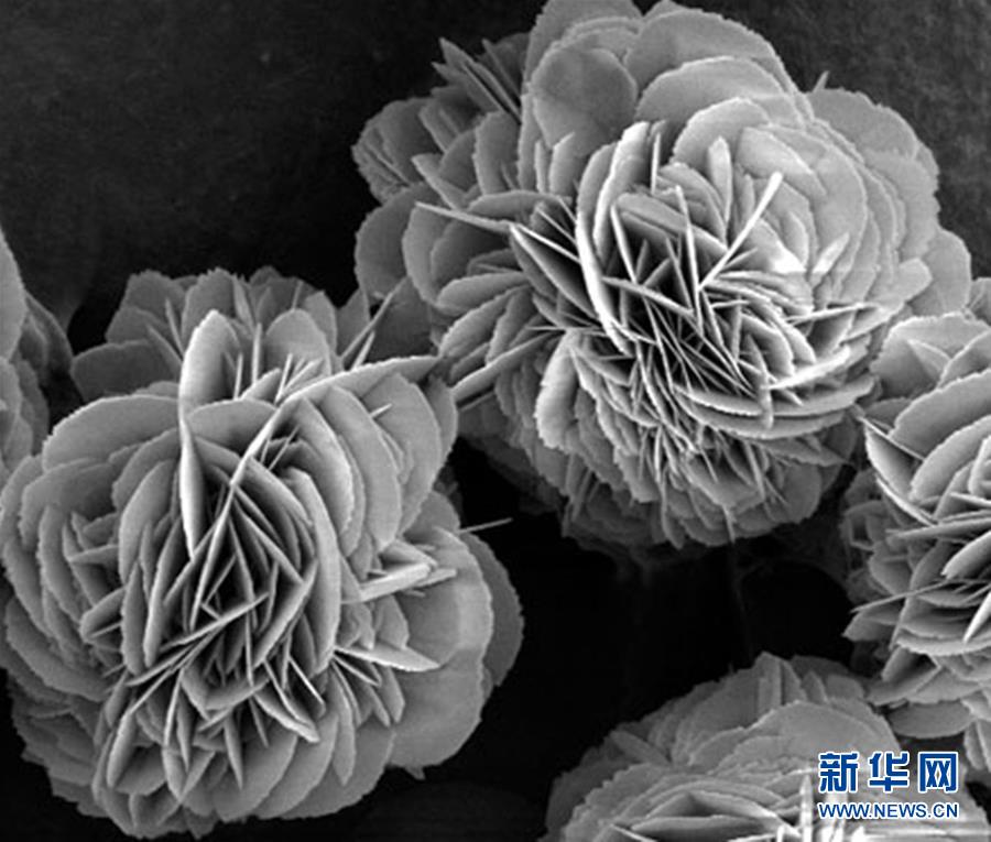 (新時代奮斗者·圖文互動)(3)“美麗發(fā)現”之路——記青年化學家戈鈞