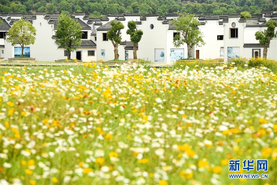 （新華全媒頭條&middot;搶救古民居&middot;圖文互動）（2）當古民居遇上城鎮(zhèn)化，如何留住鄉(xiāng)愁？