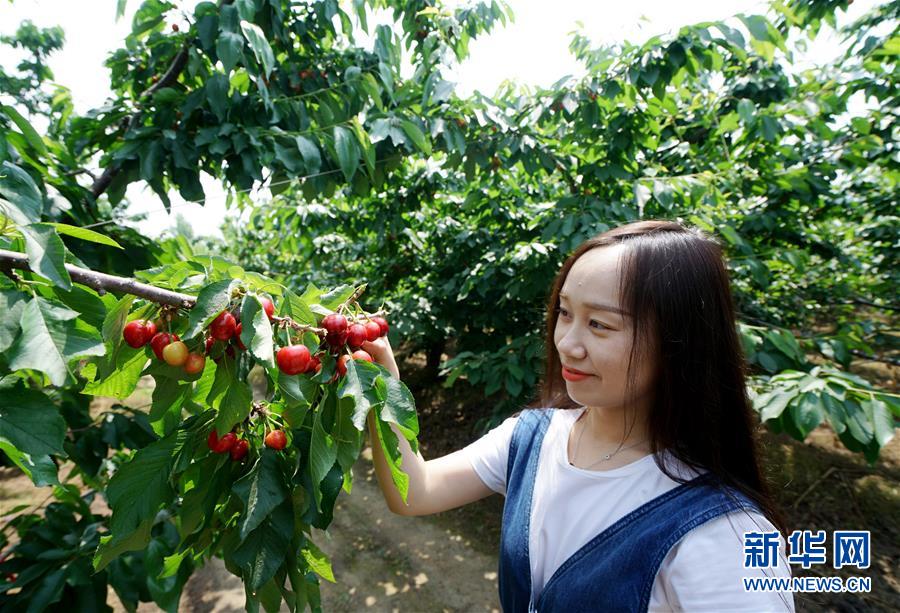 （社會）（2）特色農業(yè)休閑旅游助推鄉(xiāng)村振興