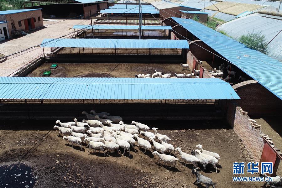 （壯闊東方潮 奮進新時代&mdash;&mdash;慶祝改革開放40年）（9）退耕還林20年 延安大地譜新篇