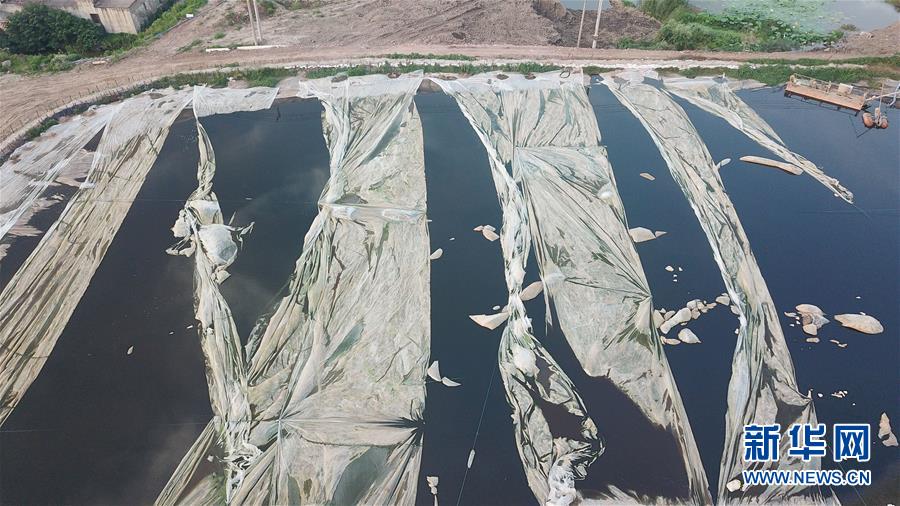 （新華視點&middot;圖文互動）（4）中央督察兩年有的絲毫未改，有的不減反增&mdash;&mdash;江蘇泰興數(shù)萬噸化工廢料和污泥堆放長江邊調查