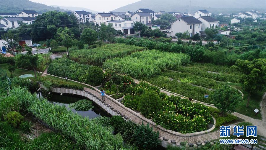 （在習(xí)近平新時(shí)代中國特色社會(huì)主義思想指引下&mdash;&mdash;新時(shí)代新作為新篇章&middot;圖文互動(dòng)）（1）稀奇！治污濕地成了休閑公園&mdash;&mdash;江蘇蘇州全域推進(jìn)農(nóng)村生活污水治理