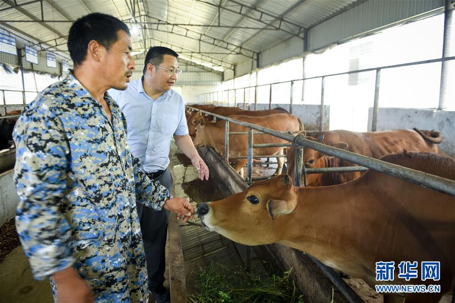 （脫貧攻堅(jiān)&middot;圖文互動）（2）&ldquo;不畏難、不畏煩、不畏苦&rdquo;&mdash;&mdash;記&ldquo;80后&rdquo;扶貧干部李朝陽