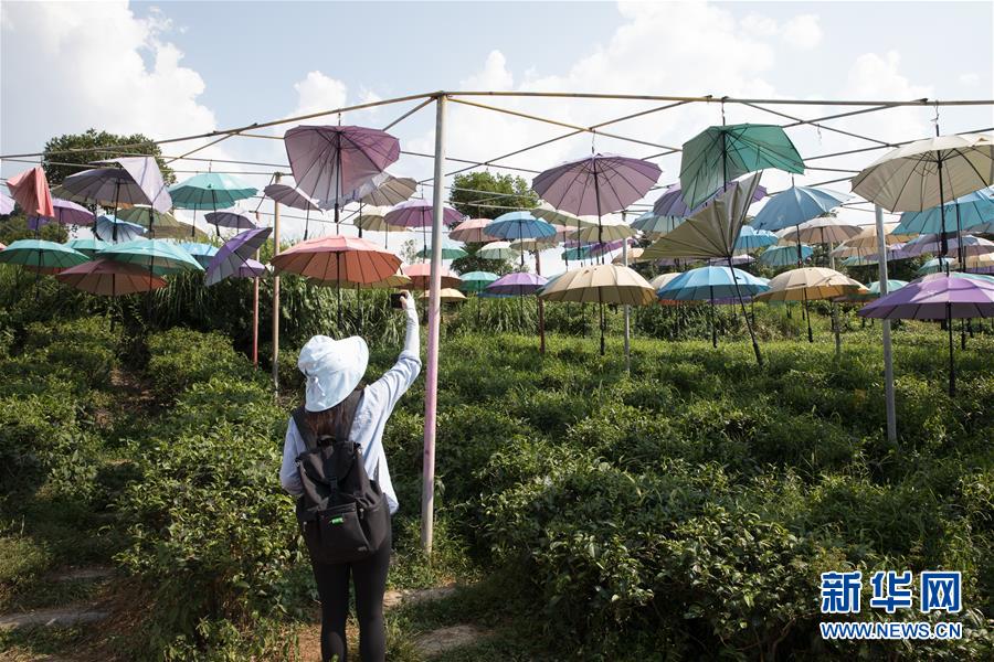（大江奔流&mdash;&mdash;來自長江經(jīng)濟帶的報道&middot;圖文互動）（4）在這里，做一個幸福的農(nóng)民