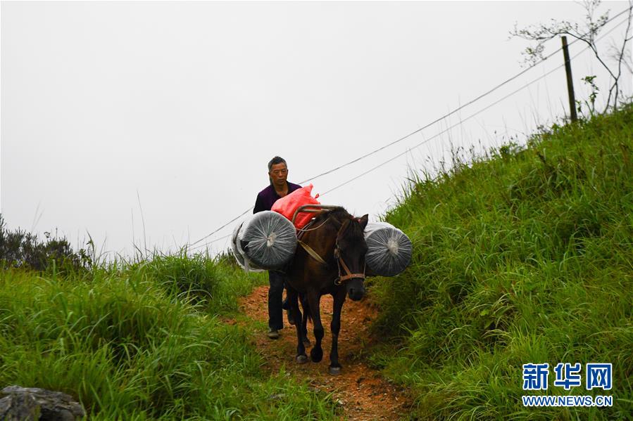 （新華全媒頭條&middot;圖文互動）（4）一個人，一座山&mdash;&mdash;劉真茂的生命守望