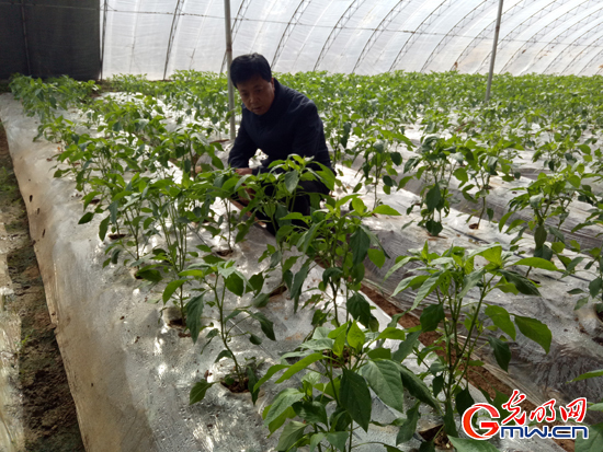 【脫貧攻堅(jiān)在行動】全村聯(lián)名信留下好書記&mdash;&mdash;青海省城上村&ldquo;第一書記&rdquo;劉貴明這三年