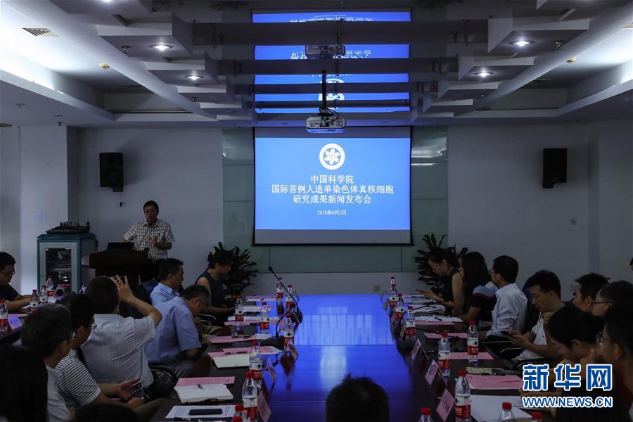 （新華全媒頭條&middot;圖文互動(dòng)）（6）人造單條染色體真核細(xì)胞問(wèn)世　我國(guó)開(kāi)啟合成生物學(xué)研究新時(shí)代