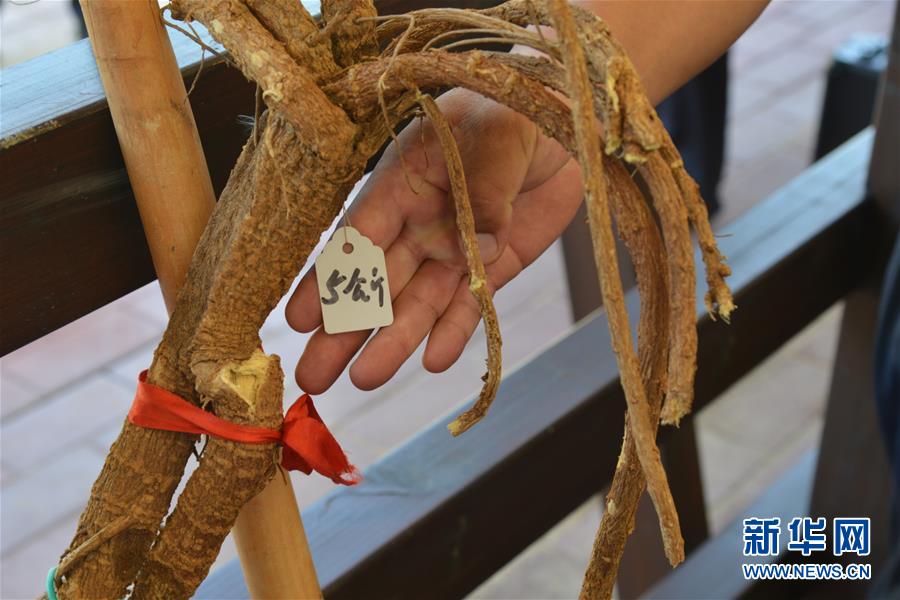 （在習(xí)近平新時代中國特色社會主義思想指引下&mdash;&mdash;新時代新作為新篇章&middot;圖文互動）（2）庫布其競相演繹&ldquo;點沙成金&rdquo;傳奇