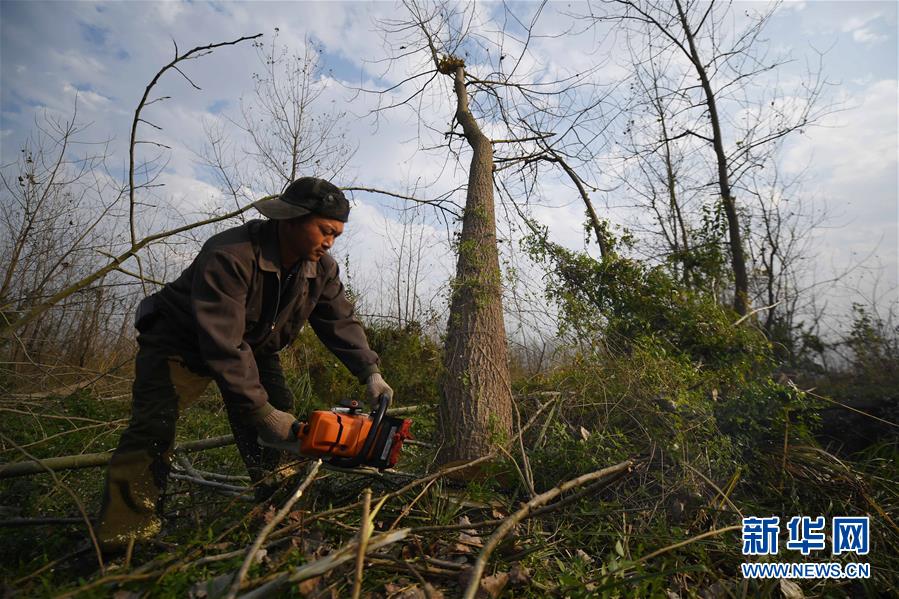 （大江奔流&mdash;&mdash;來自長江經(jīng)濟(jì)帶的報(bào)道&middot;新華全媒頭條&middot;圖文互動）（6）打造經(jīng)濟(jì)高質(zhì)量發(fā)展的強(qiáng)勁引擎&mdash;&mdash;深入推動長江經(jīng)濟(jì)帶發(fā)展述評