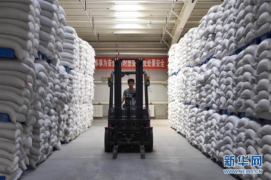 （新華全媒頭條&middot;圖文互動(dòng)）（6）去新疆！穿越古今絲綢之路