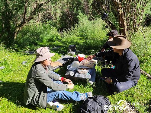 長途跋涉途中休息。