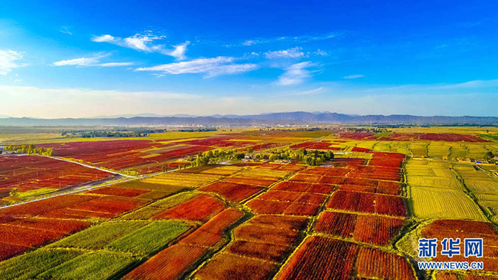 秋收的中國(guó)，你想象不到的美！但更美的是&hellip;&hellip;