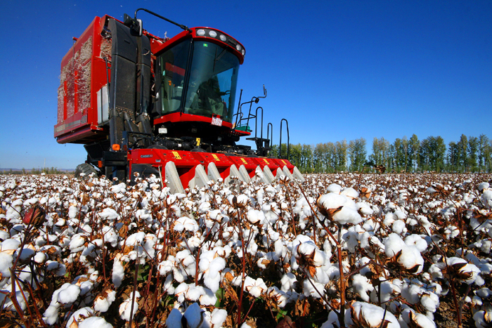 秋收的中國(guó)，你想象不到的美！但更美的是&hellip;&hellip;