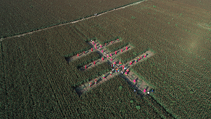 秋收的中國(guó)，你想象不到的美！但更美的是&hellip;&hellip;