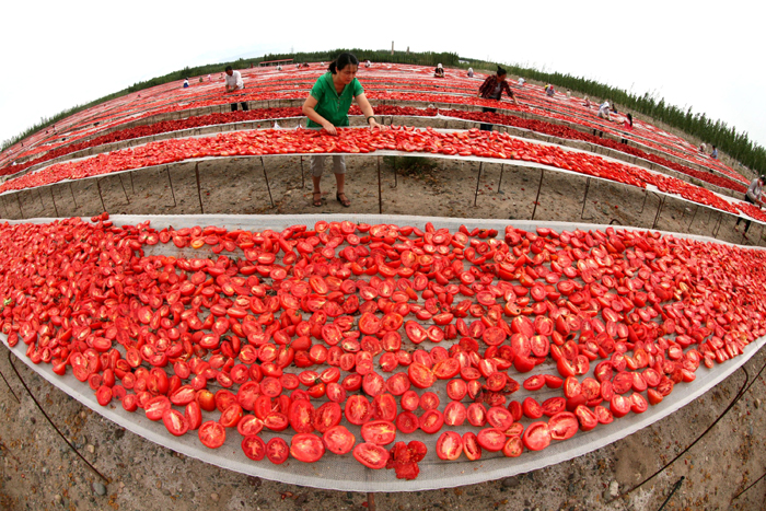 秋收的中國(guó)，你想象不到的美！但更美的是&hellip;&hellip;