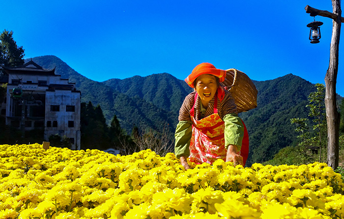 秋收的中國(guó)，你想象不到的美！但更美的是&hellip;&hellip;