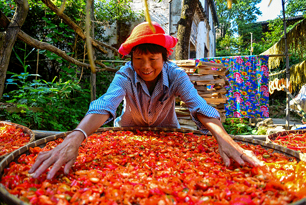 秋收的中國(guó)，你想象不到的美！但更美的是&hellip;&hellip;