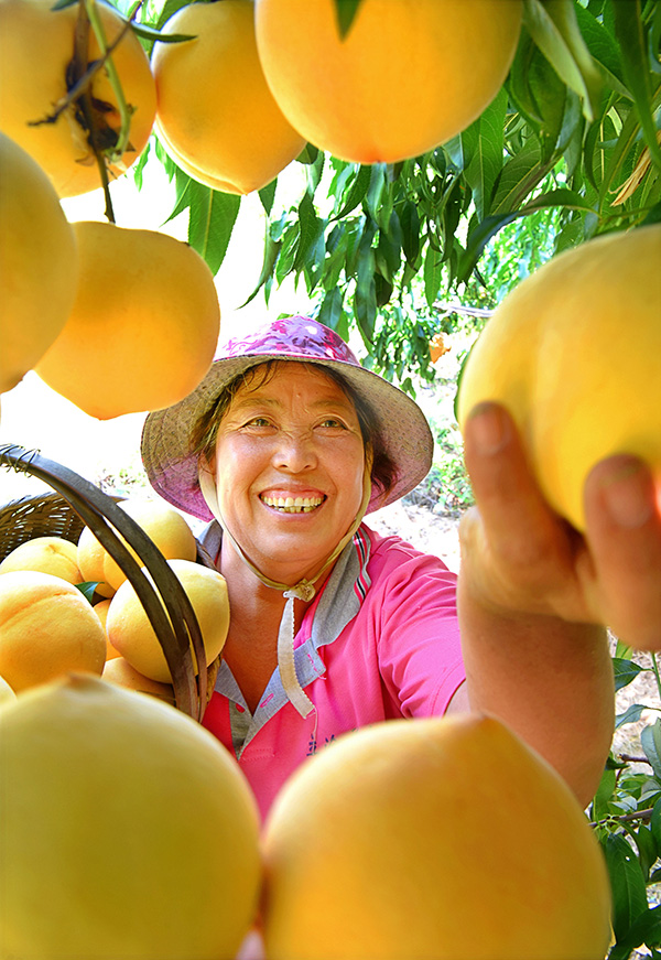 秋收的中國(guó)，你想象不到的美！但更美的是&hellip;&hellip;