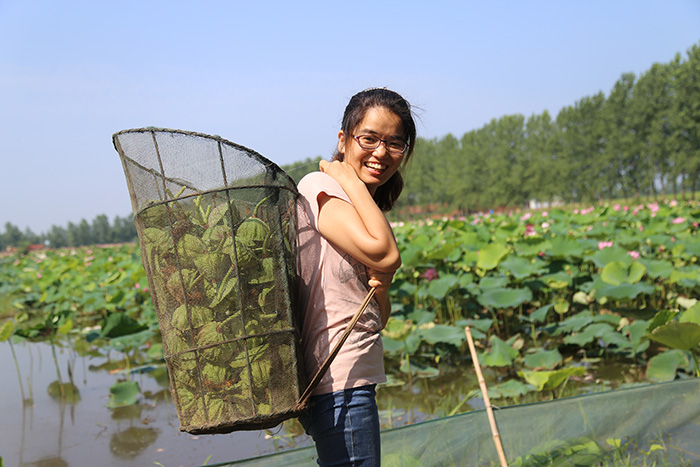 秋收的中國(guó)，你想象不到的美！但更美的是&hellip;&hellip;