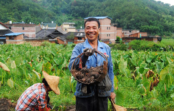 秋收的中國(guó)，你想象不到的美！但更美的是&hellip;&hellip;