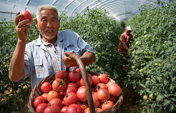 秋收的中國(guó)，你想象不到的美！但更美的是&hellip;&hellip;
