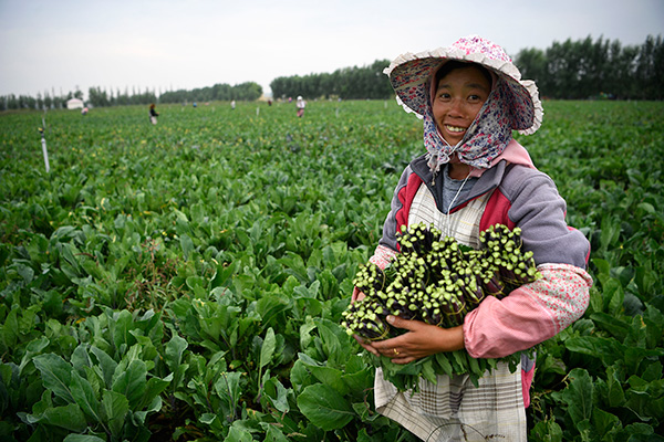 秋收的中國(guó)，你想象不到的美！但更美的是&hellip;&hellip;