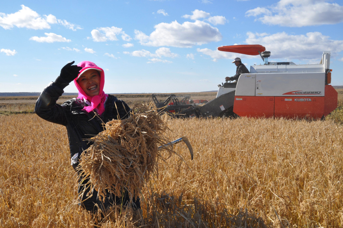 秋收的中國(guó)，你想象不到的美！但更美的是&hellip;&hellip;