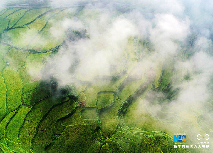秋收的中國(guó)，你想象不到的美！但更美的是&hellip;&hellip;