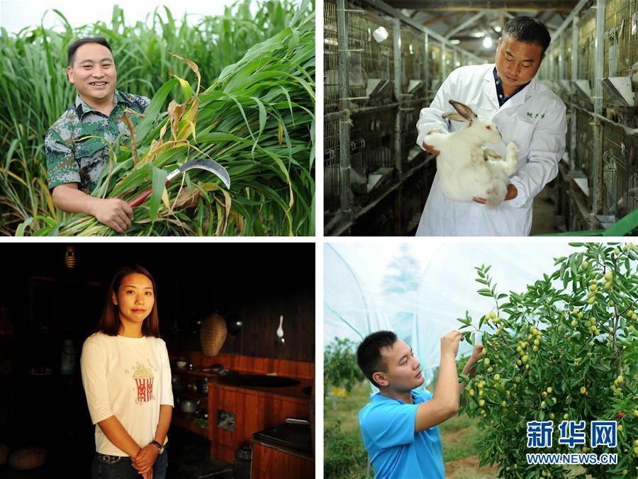 （在習(xí)近平新時(shí)代中國特色社會主義思想指引下&mdash;&mdash;新時(shí)代新作為新篇章&middot;圖文互動）（7）三年村干部 一世農(nóng)村情&mdash;&mdash;記貴州石阡農(nóng)村扶貧干部