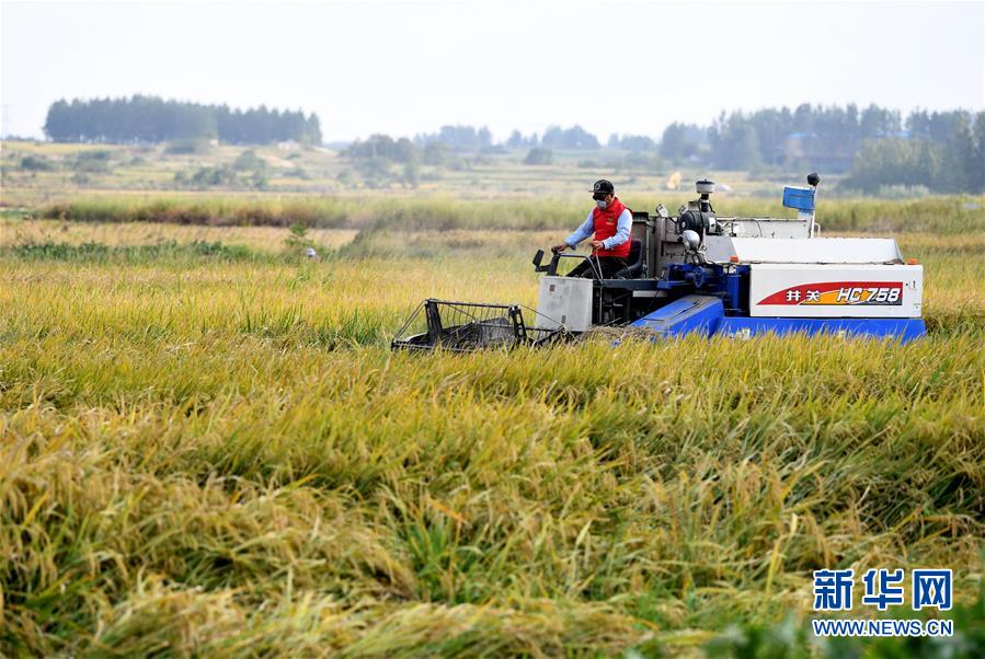 （新華全媒頭條&middot;壯闊東方潮　奮進(jìn)新時代&mdash;&mdash;慶祝改革開放40年&middot;圖文互動）（9）小崗，與時代同行&mdash;&mdash;&ldquo;中國農(nóng)村改革第一村&rdquo;40年變遷的改革啟示