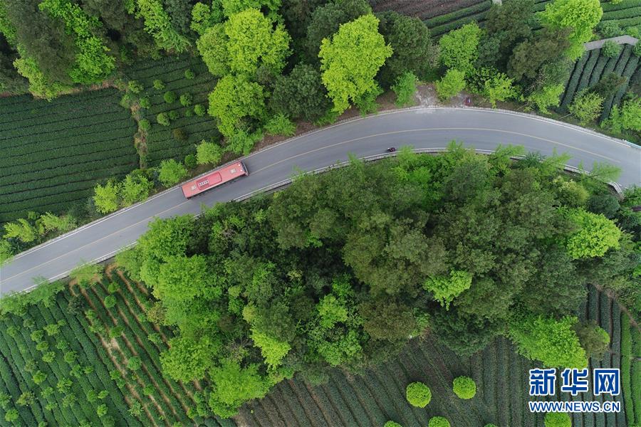 （新華全媒頭條&middot;圖文互動(dòng)）（6）希望灑在金色田野&mdash;&mdash;寫在鄉(xiāng)村振興戰(zhàn)略實(shí)施一周年之際