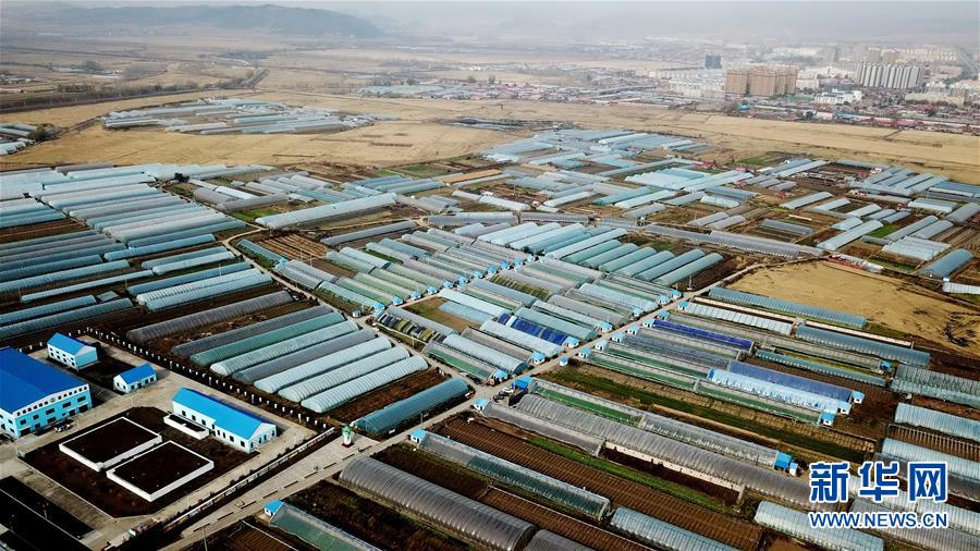 （百城百縣百企調(diào)研行&middot;圖文互動(dòng)）（1）瞧瞧這些村咋富起來(lái)的&mdash;&mdash;黑龍江省牡丹江市發(fā)展特色精品農(nóng)業(yè)促農(nóng)增收