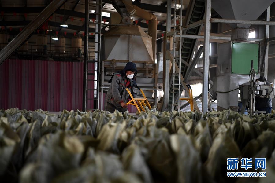 （在習(xí)近平新時代中國特色社會主義思想指引下&mdash;&mdash;新時代新氣象新作為&middot;鄉(xiāng)村振興戰(zhàn)略&middot;圖文互動）（1）&ldquo;與其放火，不如打包&rdquo;&mdash;&mdash;山西渾源秸稈綜合再利用見聞