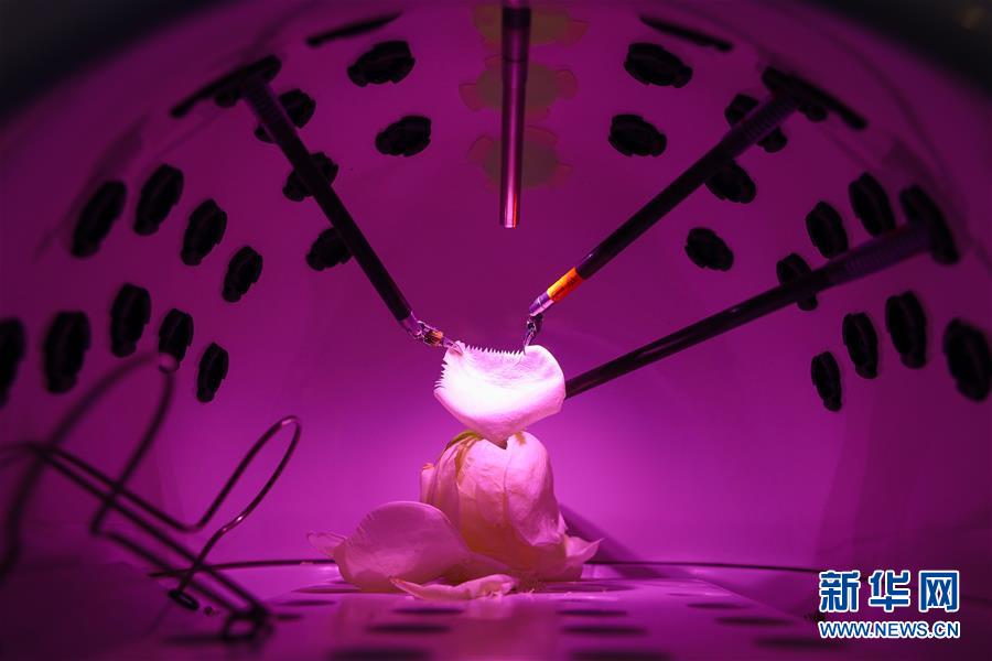 （鏡觀中國(guó)&middot;新華社國(guó)內(nèi)照片一周精選）（3）機(jī)械手術(shù)&ldquo;手&rdquo;