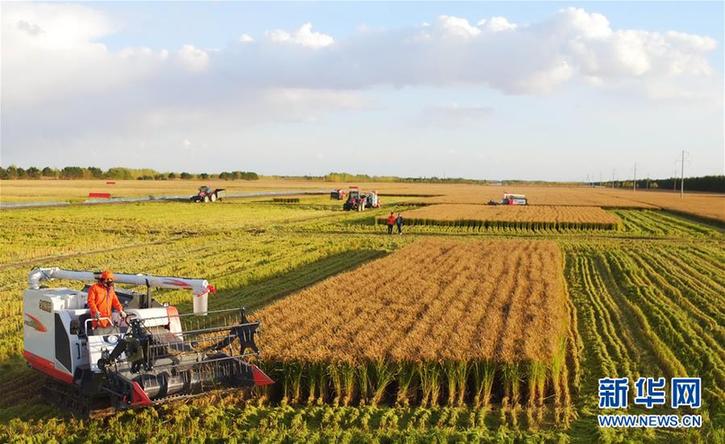 (在習近平新時代中國特色社會主義思想指引下——新時代新作為新篇章·圖文互動)(2)“北大倉”加速“市場化之變”