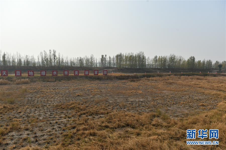 (在習(xí)近平新時(shí)代中國(guó)特色社會(huì)主義思想指引下·慶祝改革開(kāi)放40周年·綠色發(fā)展)(新華全媒頭條·圖文互動(dòng))(6)綠色發(fā)展:書(shū)寫(xiě)在中國(guó)大地上的美麗畫(huà)卷