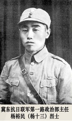 （為了民族復興&middot;英雄烈士譜&middot;圖文互動）抗日愛國知識分子的典范&mdash;&mdash;楊裕民