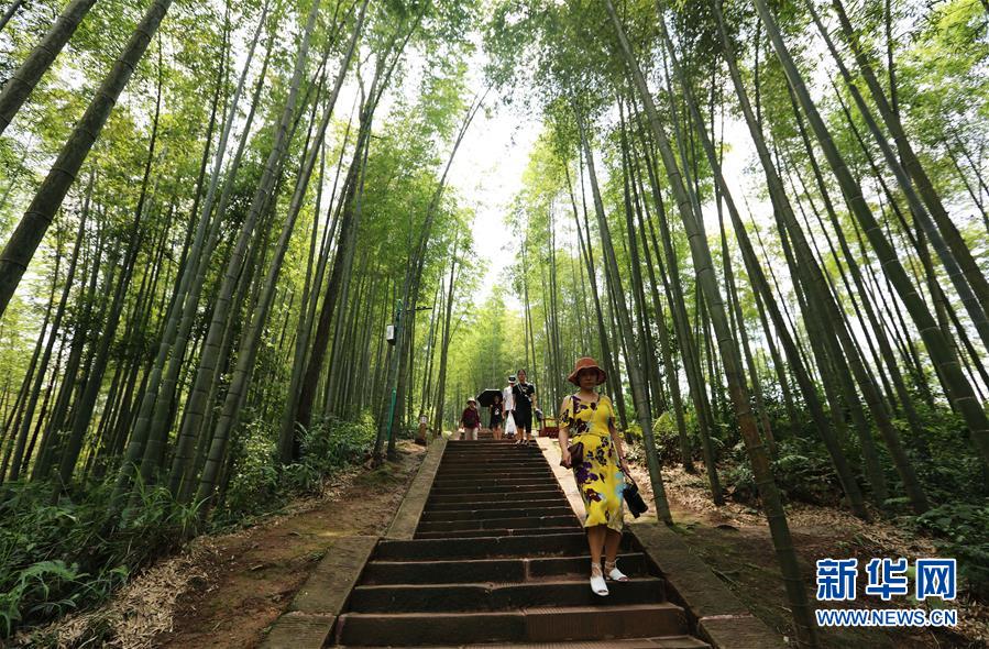 （在習(xí)近平新時(shí)代中國特色社會(huì)主義思想指引下&middot;慶祝改革開放40周年&middot;綠色發(fā)展&middot;圖文互動(dòng)）（1）向陽花木易為春&mdash;&mdash;綠色發(fā)展之&ldquo;木&rdquo;的故事