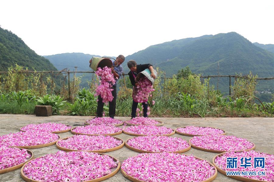 （在習(xí)近平新時代中國特色社會主義思想指引下&middot;慶祝改革開放40周年&middot;綠色發(fā)展&middot;圖文互動）（3）吹盡狂沙始到金&mdash;&mdash;綠色發(fā)展之&ldquo;金&rdquo;的故事 